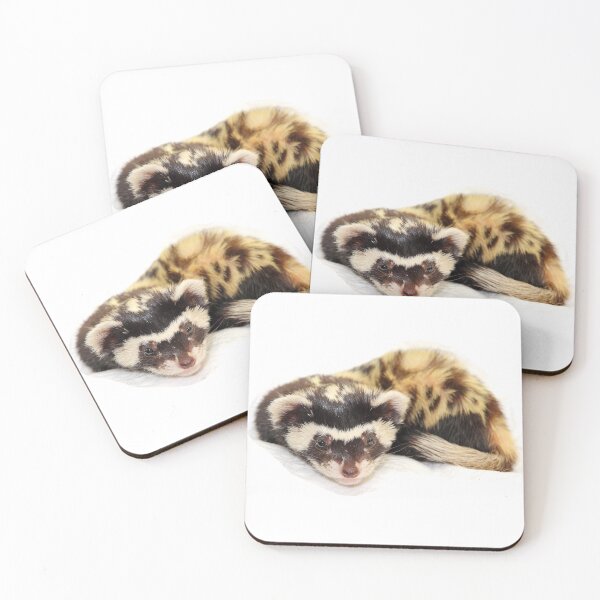Item preview, Marbled polecat (Vormela peregusna) isolated on a transparent background. designed and sold by IaroslavB.