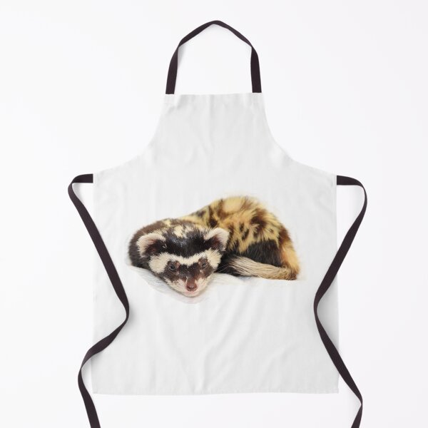 Item preview, Marbled polecat (Vormela peregusna) isolated on a transparent background. designed and sold by IaroslavB.