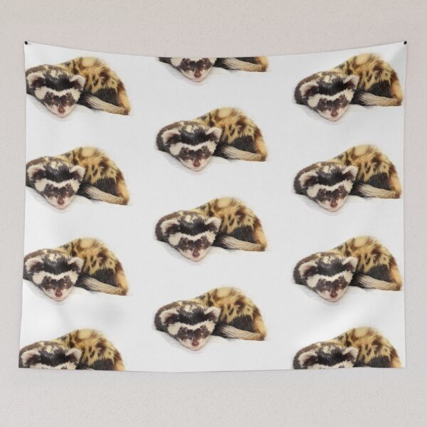 Item preview, Marbled polecat (Vormela peregusna) isolated on a transparent background. designed and sold by IaroslavB.