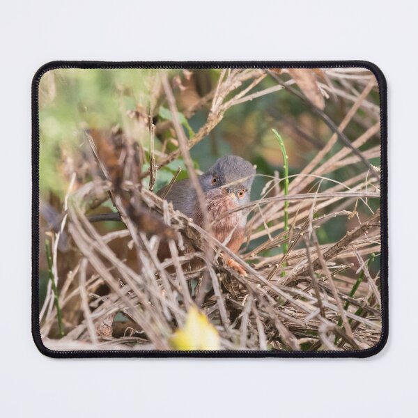 Item preview, Dartford Warbler designed and sold by LaurenTucker.