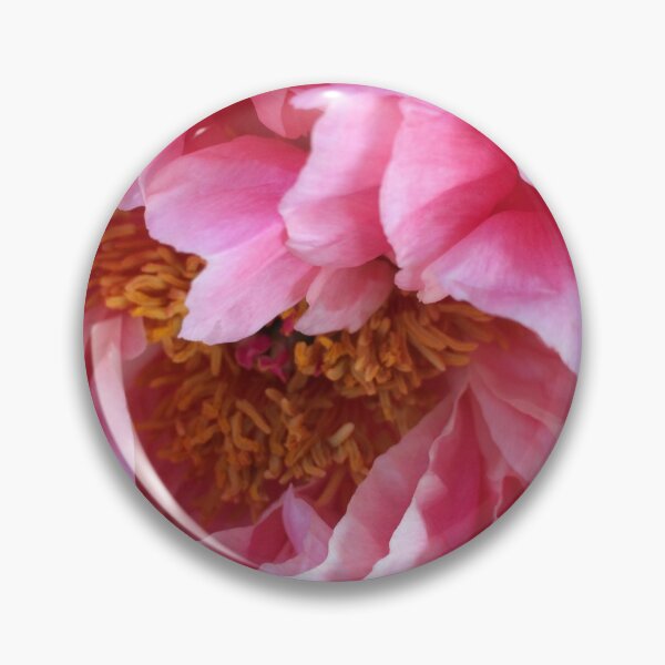 Item preview, Allotment Peony designed and sold by AllotmentCapers.