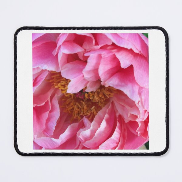 Item preview, Allotment Peony designed and sold by AllotmentCapers.