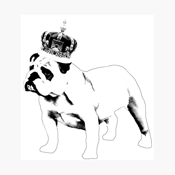 Artikel-Vorschau von Englische Bulldogge und Krone, designt und verkauft von thesamba.
