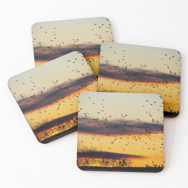 Item preview, Outdoors, naturelover, plants,safari designed and sold by Lessonsprint.