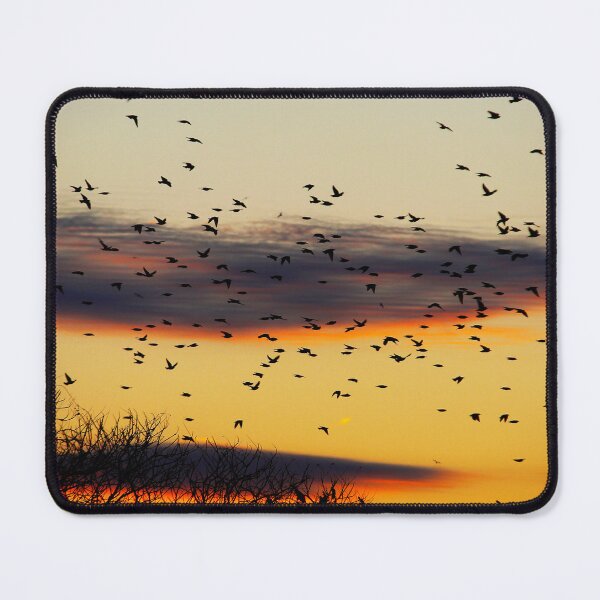 Item preview, Outdoors, naturelover, plants,safari designed and sold by Lessonsprint.