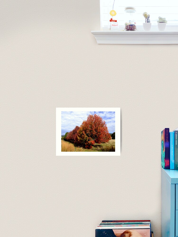 Thumbnail 2 of 3, Art Print, Autumn Trees designed and sold by theoddshot.