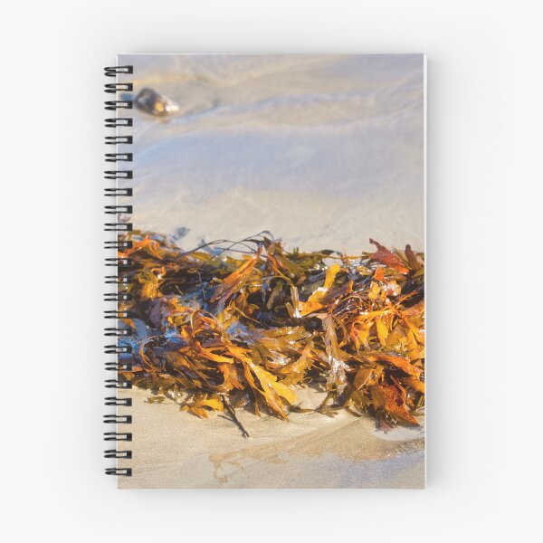 Item preview, Tangled Seaweed on the Beach designed and sold by Dorset Girl.