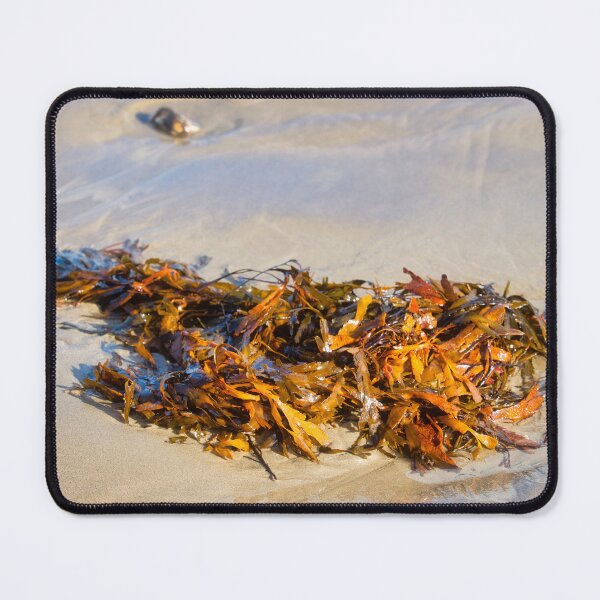 Item preview, Tangled Seaweed on the Beach designed and sold by Dorset Girl.