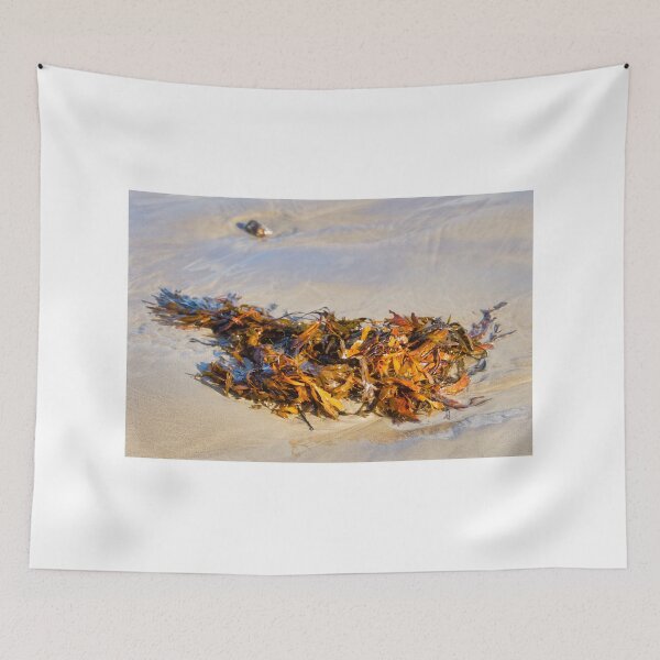 Item preview, Tangled Seaweed on the Beach designed and sold by Dorset Girl.