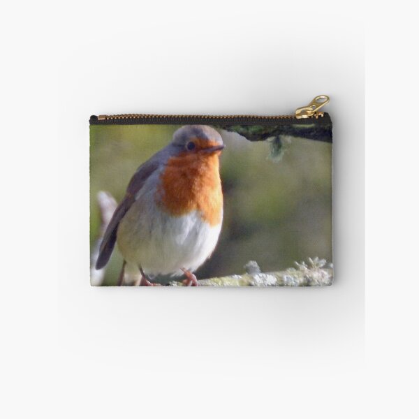Item preview, Robin Redbreast............. designed and sold by lynn carter.