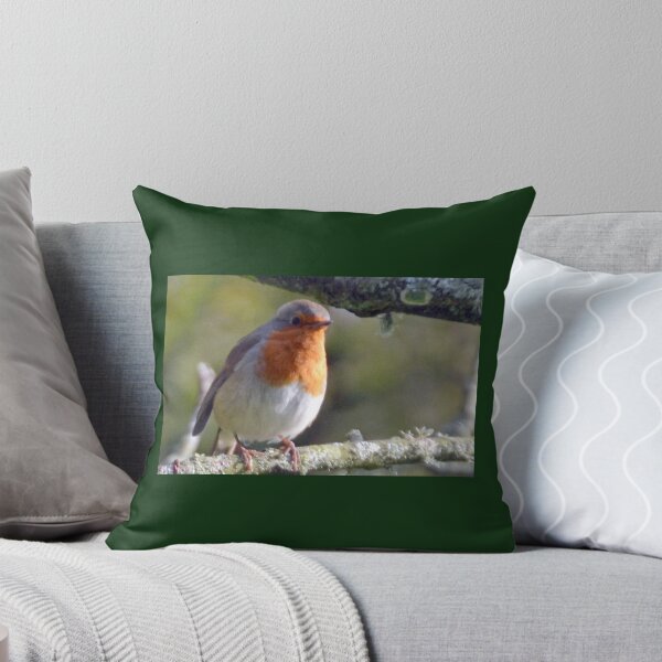Item preview, Robin Redbreast............. designed and sold by lynn carter.