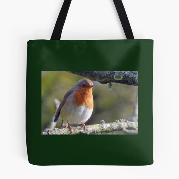 Item preview, Robin Redbreast............. designed and sold by lynn carter.