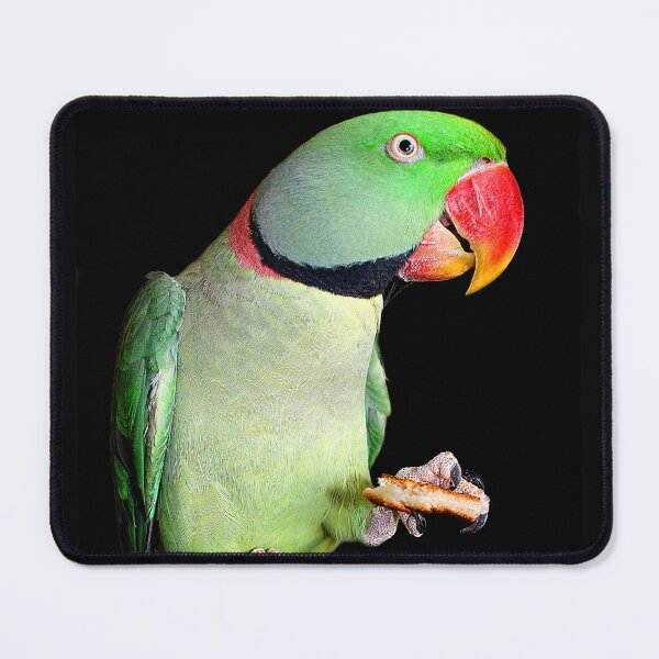 Item preview, Pets - Sam My Alexandrine Enjoying His Toast designed and sold by Phil Le Cren.