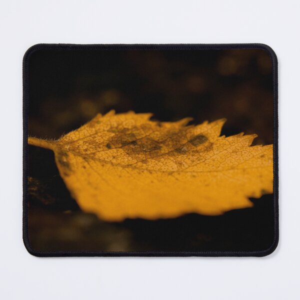 Item preview, A lonely leaf in autumn designed and sold by Karrakunga.