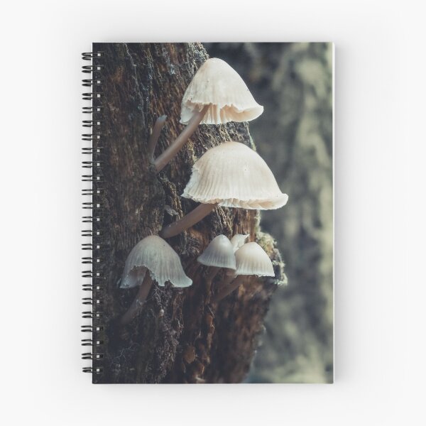 Item preview, Beaten Bonnet Mushroom designed and sold by Karrakunga.