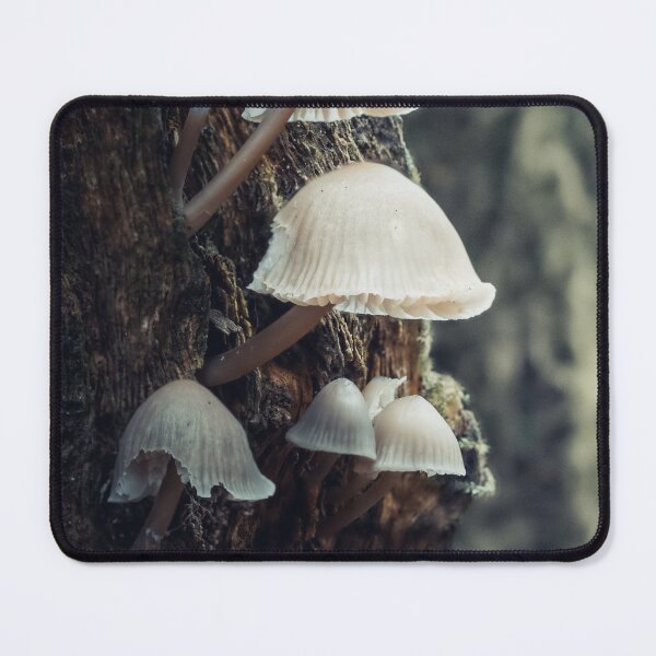 Item preview, Beaten Bonnet Mushroom designed and sold by Karrakunga.