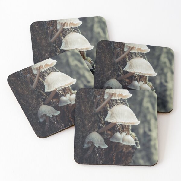 Item preview, Beaten Bonnet Mushroom designed and sold by Karrakunga.