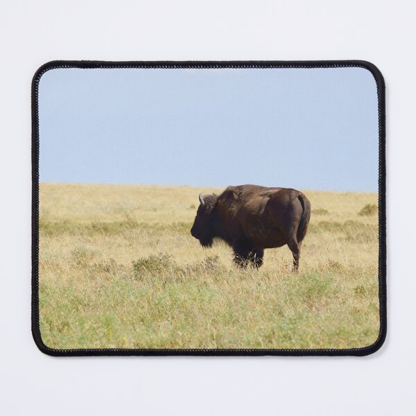 Item preview, Buffalo Standing Alone designed and sold by Vivar Photo.