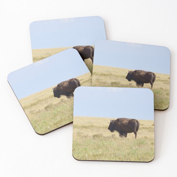 Item preview, Buffalo Standing Alone designed and sold by Vivar Photo.