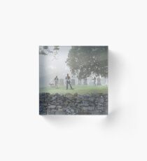 Walkers Acrylic Block