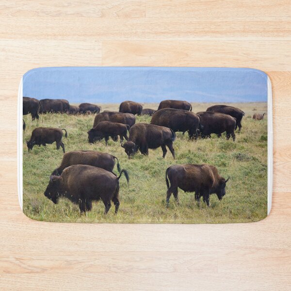 Item preview, Buffalo Herd, Peacefully Grazing designed and sold by Vivar Photo.