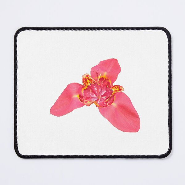 Item preview, Red Tigridia Flower designed and sold by Floral-Art.