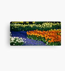 Keukenhof Gardens Leinwanddruck