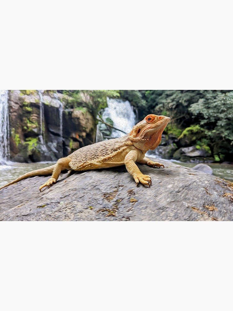 "Bearded Dragon at Waterfall Oil Painting" Sticker for Sale by