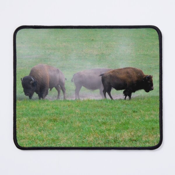 Item preview, Bison in a dust bath designed and sold by PowerfulPhotos.