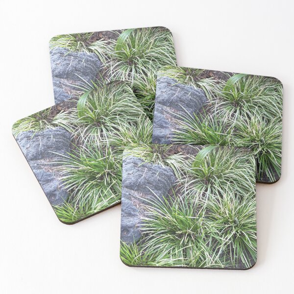 Item preview, Anaheim Park Plants and Boulder designed and sold by SanArtcisco.