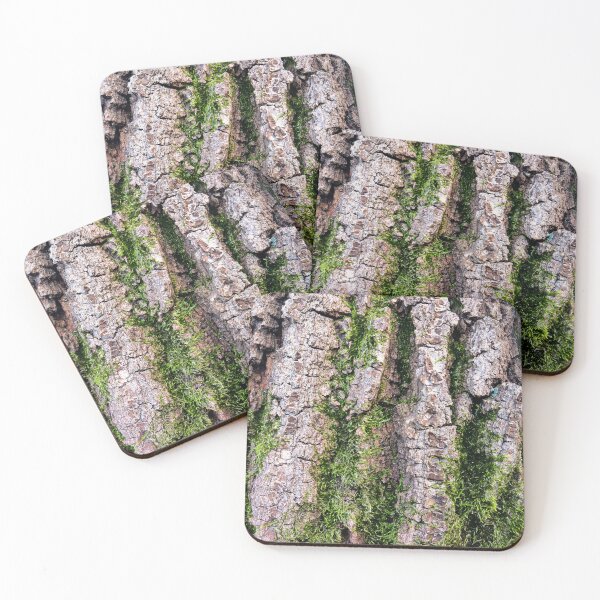 Item preview, Moss on an old oak designed and sold by AdioraStore.