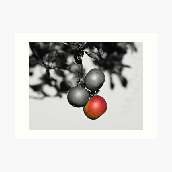 Apple a Day Keeps the Doctor Away Art Print