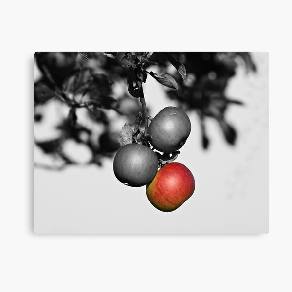 Apple a Day Keeps the Doctor Away Canvas Print