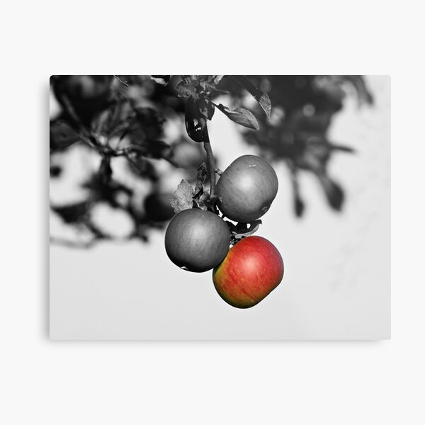 Apple a Day Keeps the Doctor Away Metal Print