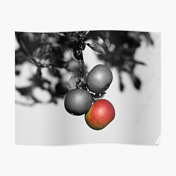 Apple a Day Keeps the Doctor Away Poster
