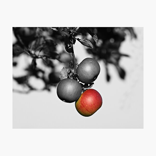 Apple a Day Keeps the Doctor Away Photographic Print