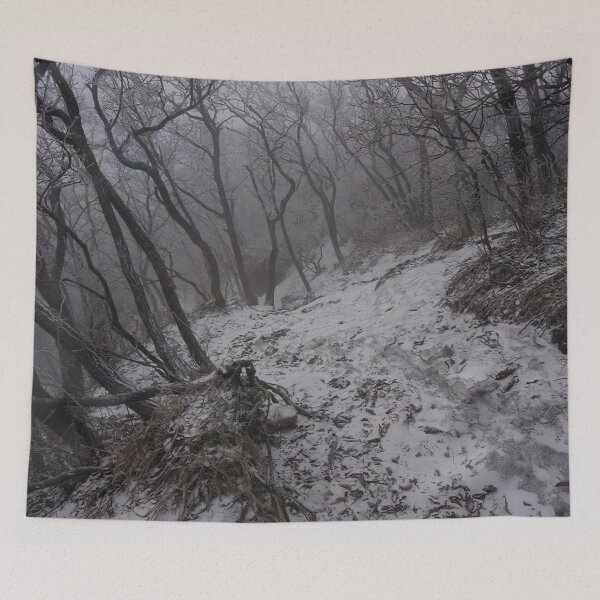 Item preview, Cold Winter Forest designed and sold by MorningFive.