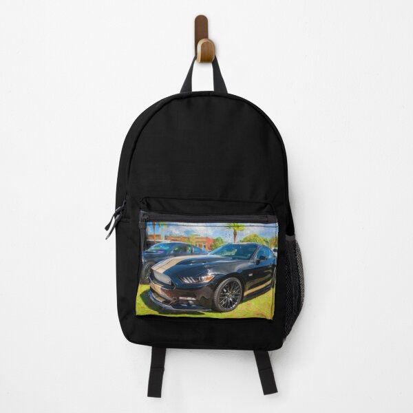 Item preview, 2016 Ford Hertz Shelby Mustang GT-H X100 designed and sold by RichFrancoCars.