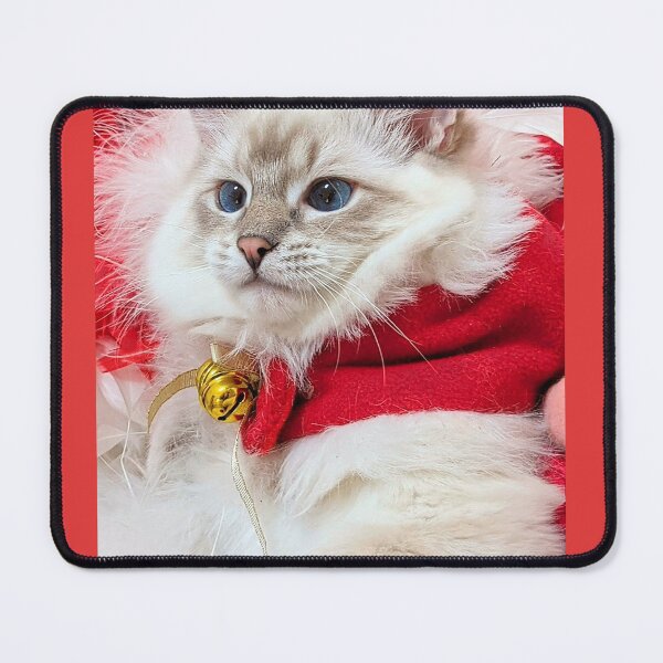 Item preview, Lynx ragdoll santa stocking Christmas kitten designed and sold by Fluffycat2020.