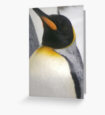 proud penguin Greeting Card