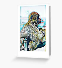 Monkey Do Greeting Card
