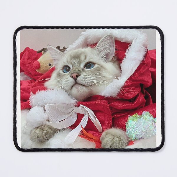 Item preview, Lynx ragdoll santa stocking Christmas kitten designed and sold by Fluffycat2020.