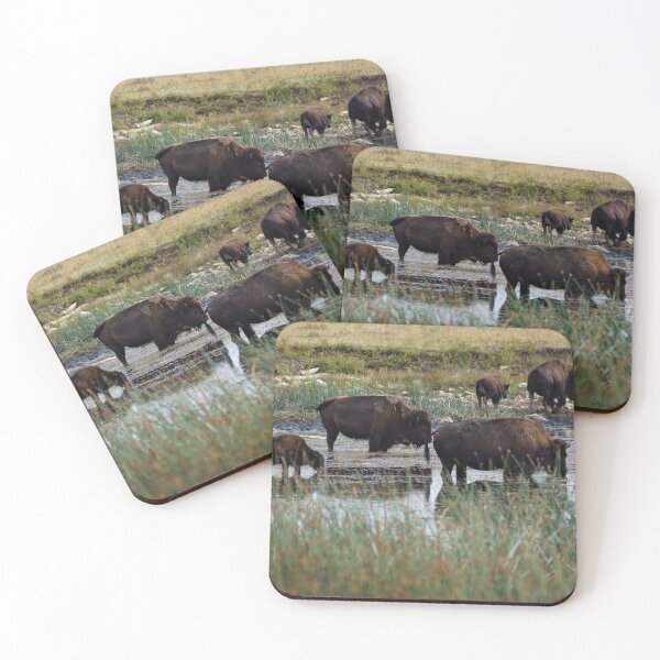 Item preview, Buffalo Knee-Deep in a Lake designed and sold by Vivar Photo.