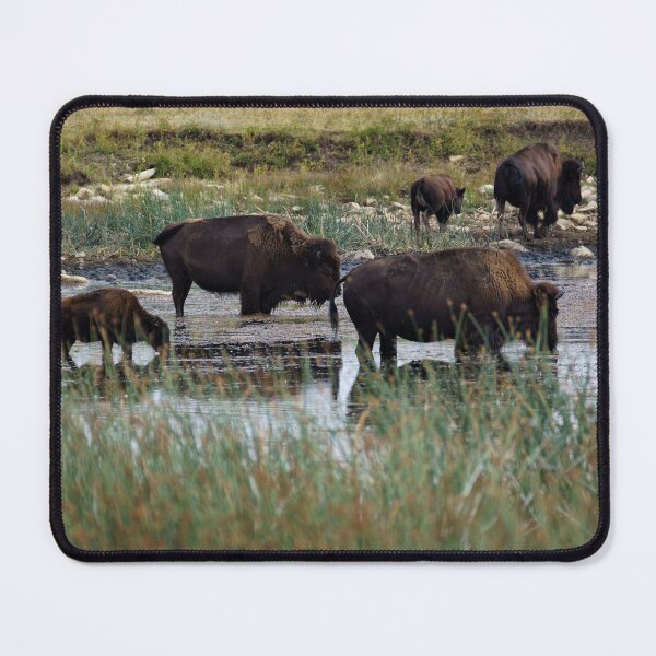 Item preview, Buffalo Knee-Deep in a Lake designed and sold by Vivar Photo.