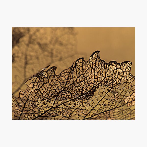 Item preview, Fragility designed and sold by Dawne Olson.