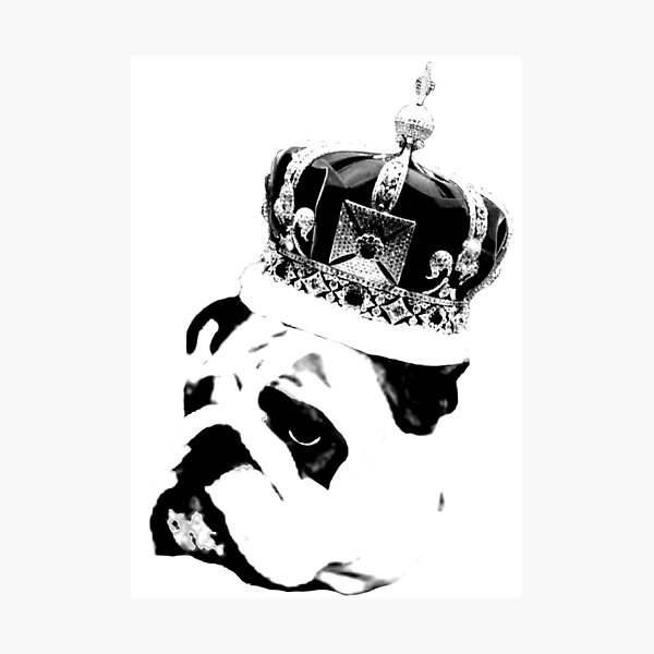 Artikel-Vorschau von Englische Bulldogge, designt und verkauft von thesamba.