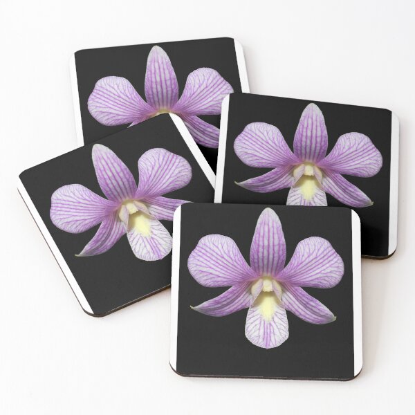 Item preview, Dendrobium orchid Candy Stripe with dark background  designed and sold by Floral-Art.