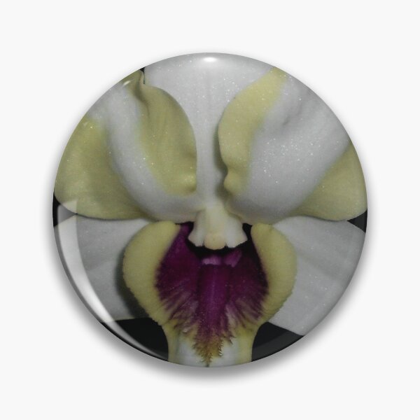 Item preview, Dendrobium Orchid Hybrid with dark background designed and sold by Floral-Art.
