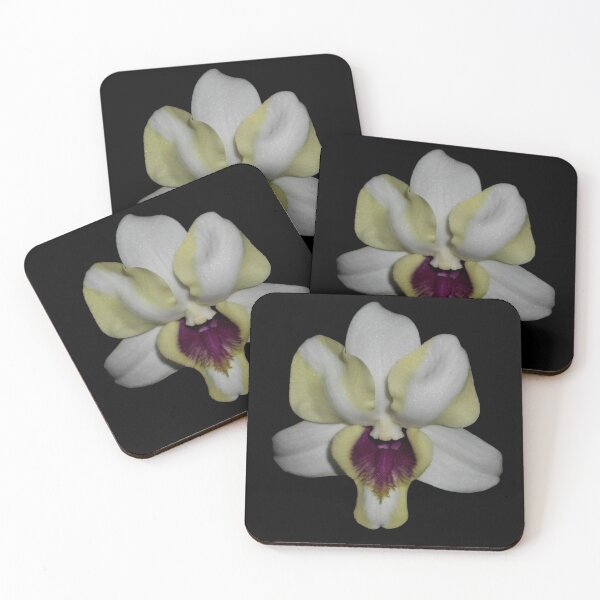 Item preview, Dendrobium Orchid Hybrid with dark background designed and sold by Floral-Art.