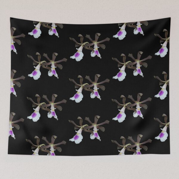Item preview, Orquídea Encyclia cordigera con fondo negro designed and sold by Floral-Art.